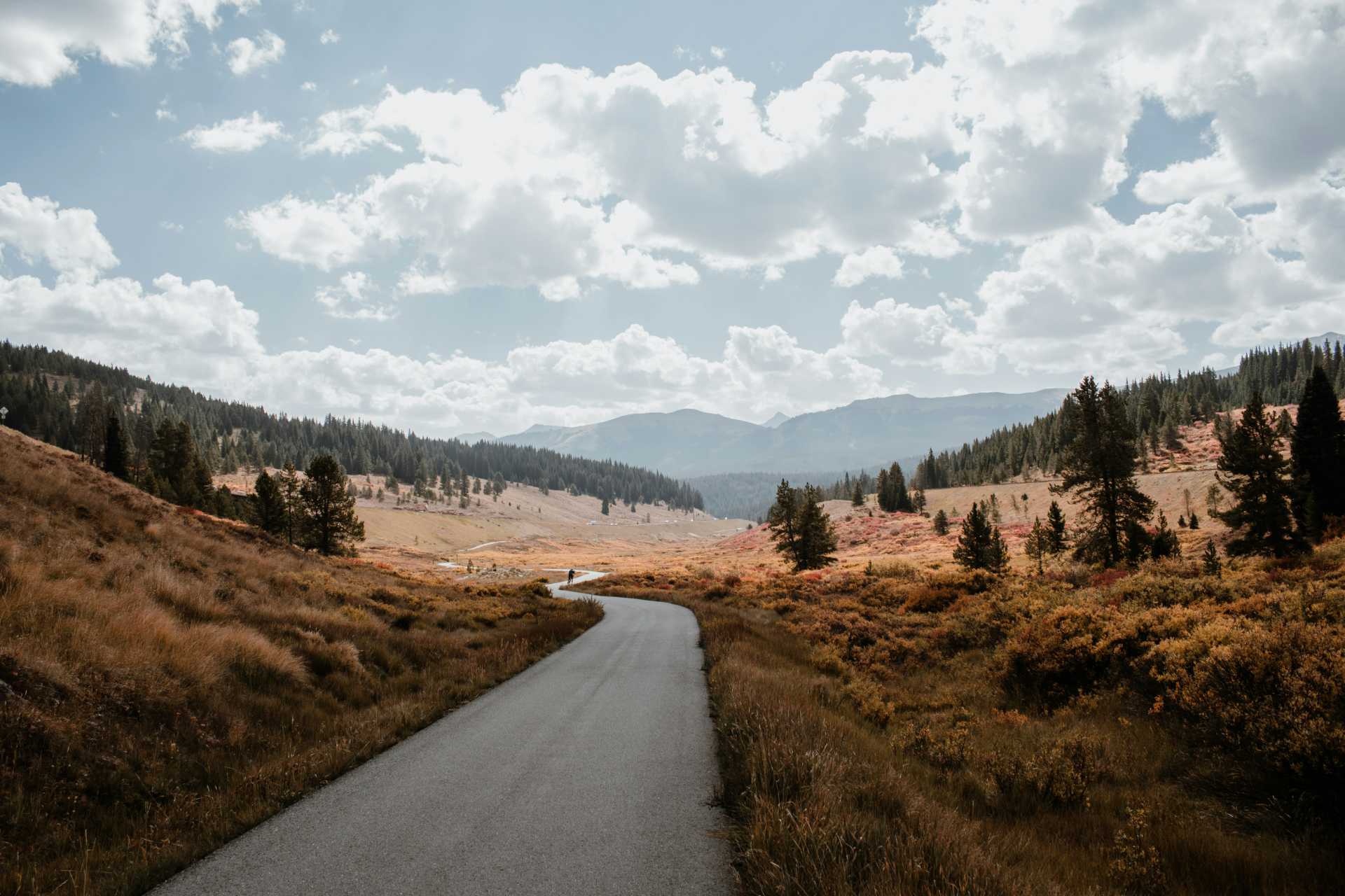A long winding road, in a valley with tall trees.